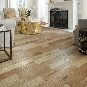 Fremont Hickory
